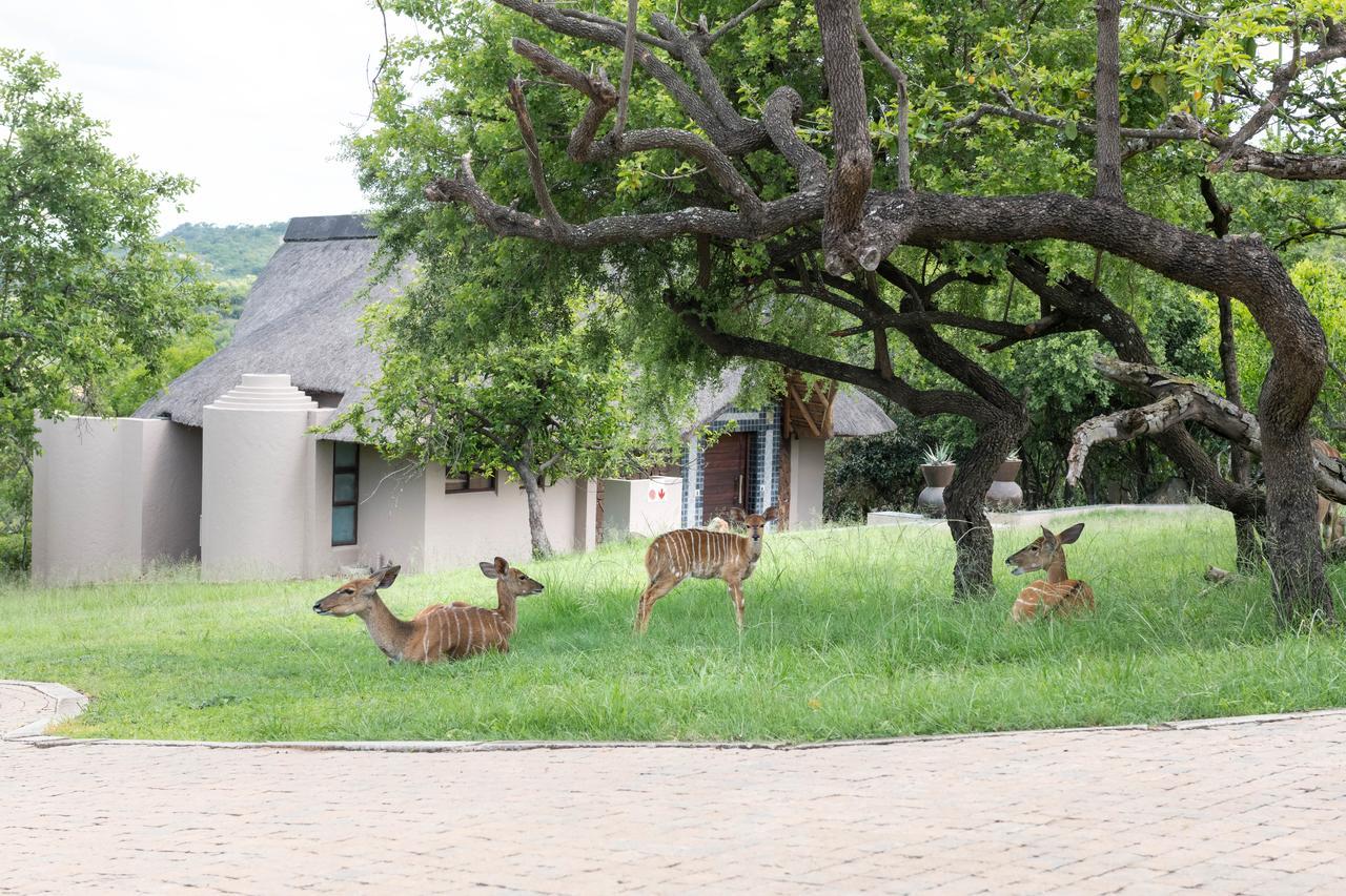 Muluwa Lodge White River Bagian luar foto